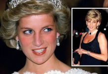 Princess Diana musical to spark raging debates if show comes to UK – ‘Shameless’ | Royal | News (Reports)