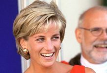 Princess Diana mystery yet to be solved two decades after death | Royal | News (Reports)
