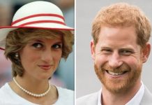 Princess Diana news: Diana had ‘stronger connection’ with Prince Harry than Prince William | Royal | News (Reports)