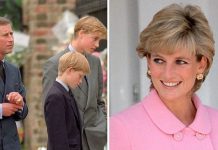 Princess Diana news: How Charles, William and Harry ‘clung to godsend’ after Diana’s death | Royal | News (Reports)