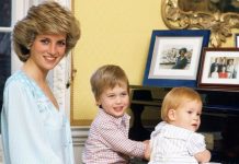 Princess Diana news: How parenting of Prince Harry transformed Royal Family | Royal | News (Reports)