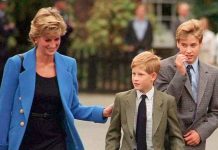 Princess Diana news: Prince Harry and Prince William’s last phone call with mum remembered | Royal | News (Reports)