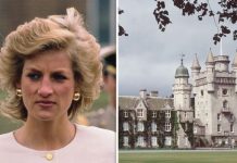 Princess Diana’s brutal assessment of beloved royal activity: ‘Repugnant!’ | Royal | News (Reports)