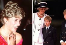 Princess Diana’s ‘rique exchanges’ with Prince William and Prince Harry exposed | Royal | News (Reports)