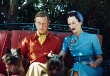 Royal abdication secrets revealed in unearthed letter from Edward VIII | Royal | News (Reports)