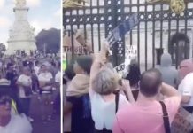 Royal fury erupts outside Buckingham Palace as enraged crowds scream ‘paedophile’ – VIDEO | Royal | News (Reports)
