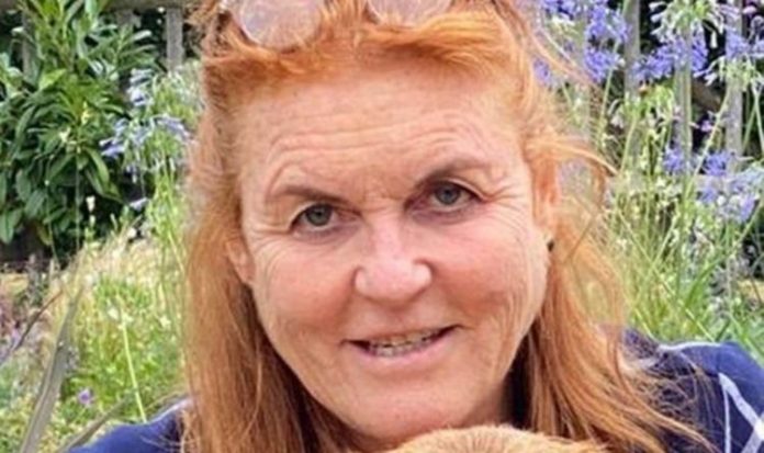 Sarah Ferguson stuns fans with picture of new addition to her family after Bea's wedding | Royal | News