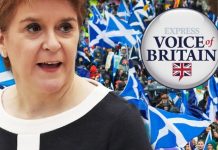 Scottish independence: Scots living elsewhere in UK SHOULD get vote in referendum – poll | UK | News (Reports)
