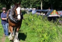 ‘Snowflakes’ blamed for closure of traditional horse-drawn barge company | UK | News (Reports)