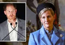 Sophie Wessex joins Prince Harry’s latest battle – ‘Virtual world can be unkind’ | Royal | News (Reports)