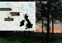 Surrey wildfires map: Where are fires raging right now? | UK | News (Reports)