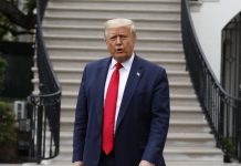 Trump slams Fauci over testimony on COVID-19 surge – (Reports) Trump slams Fauci over testimony on COVID-19 surge