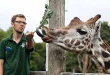 UK lockdown news: Zoo animals face existential threat – new coronavirus fund not enough | UK | News (Reports)