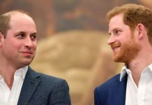 William and Harry’s secret night out as book says ‘they wanted the best for each other’ | Royal | News (Reports)