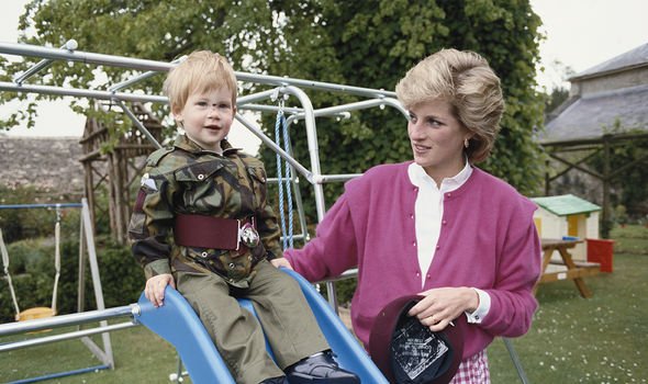 prince harry princess diana