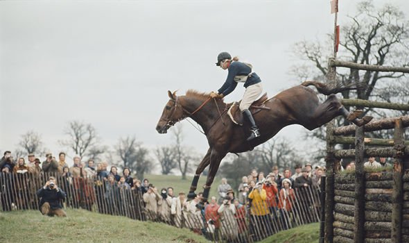 princess anne horse