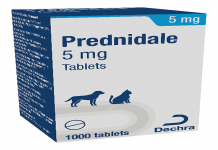 Prednidale 5 mg Tablets – Product defect recall alert 2