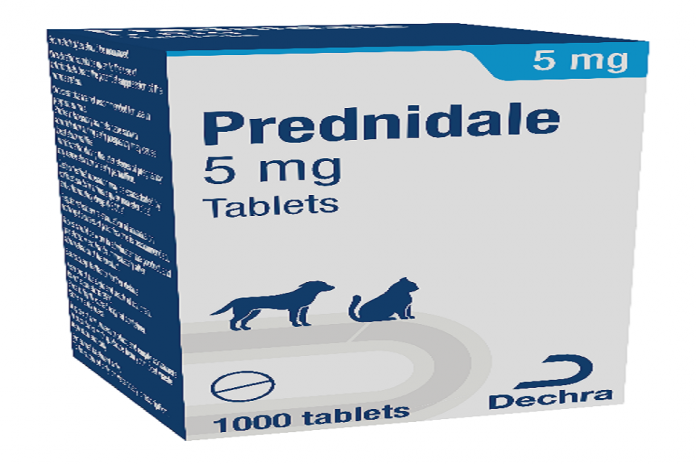 Prednidale 5 mg Tablets - Product defect recall alert 2