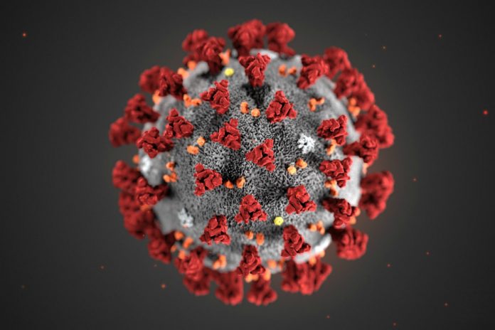 Update from the UK Chief Medical Officers on the COVID-19 alert level