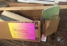 Leeds Youth Justice Service lockdown challenge