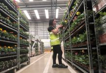 APHA launches first plant health apprenticeship scheme