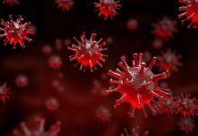 Biometrics Commissioner statement on the Coronavirus Act and the Protection of Freedoms Act