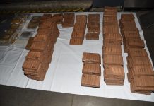Border Force stop £15 million of cocaine hitting streets