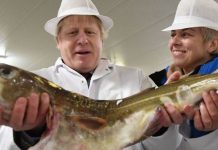 Brexit Britain should follow former deep sea rival as fishing model when EU ties CUT | UK | News (Reports)