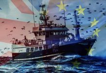 Brexit fishing win: Brexiteer reveals massive ‘expansion opportunity’ for fishermen | UK | News (Reports)