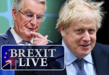 Brexit latest: Forget the EU! UK trade official reveals other deals ‘progressing well’ | UK | News (Reports)