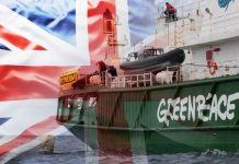 Brexit news: Greenpeace put blockade in North Sea to stop ‘destructive’ fishing | UK | News (Reports)