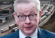 Brexit news: Permits for Kent under EU exit plans from Michael Gove | UK | News (Reports)
