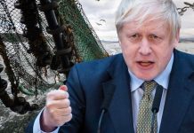 Brexit news: UK and Norway agree to landmark fisheries deal | UK | News (Reports)