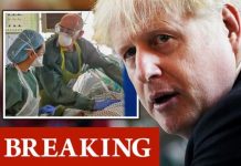 Coronavirus: UK two weeks from losing control of virus – 10-point emergency plan issued | UK | News (Reports)