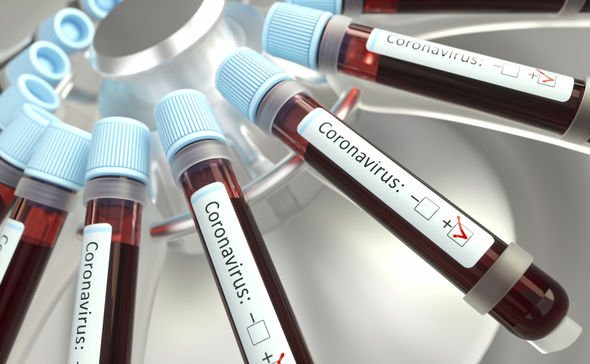 Coronavirus antibody cocktail rolled out Coronavirus antibody cocktail rolled out