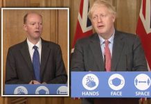 Coronavirus daily briefings: Are daily briefings coming back? | UK | News (Reports)