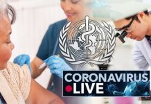 Coronavirus news: Chinese vaccine safe for over-60s – WHO working on worldwide rollout | UK | News (Reports)