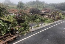 Devon residents urged to check who is taking their green waste