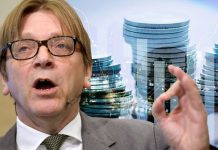 EU masterplan: Guy Verhofstadt claimed Brexit chaos will save Brussels from destruction | UK | News (Reports)