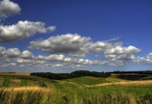 Government’s £40 million Green Recovery Challenge Fund opens for applications