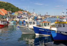 Helping the fishing industry transition to independence