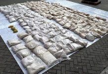 Heroin worth £120m seized from shipping container at British port | UK | News (Reports)