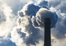 Ireland pollution warning: Anger at rising deaths from coal | UK | News (Reports)