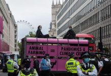 London news: Extinction Rebellion protest causes MAJOR disruption | Royal | News (Reports)