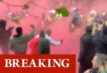 London news: Hyde Park fury erupts as enraged anti-lockdown crowds hurl flares at police | UK | News (Reports)