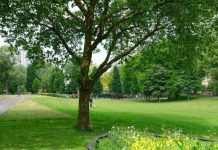London panic: Police rush to the scene as women dies in park in the capital | UK | News (Reports)