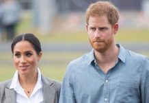 Meghan Markle and Prince Harry news: New boss speaks of huge expectations for Sussexes | Royal | News (Reports)