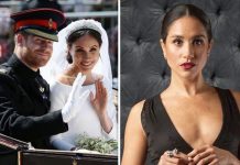 Meghan Markle’s blunt royal confession exposed: ‘I’ve never wanted it’ | Royal | News (Reports)