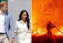 Meghan and Harry warning as wildfire ravages national forest ‘near Santa Barbara home’ | Royal | News (Reports)