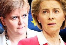 Nicola Sturgeon’s EU dream crushed by top economist: ‘Difficult for independent Scotland’ | UK | News (Reports)